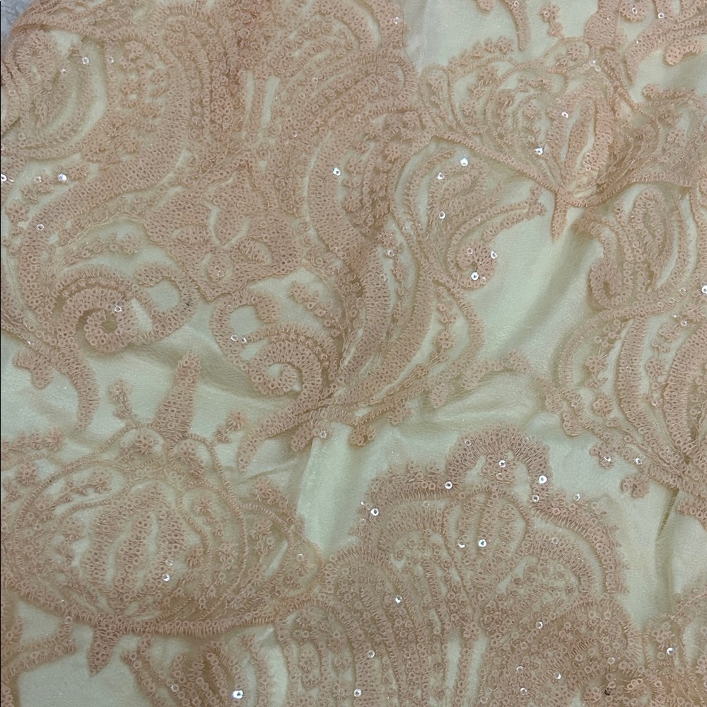 Elegant Cream and Gold Lace Skirt Set - Picture 2 of 2